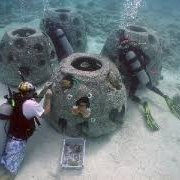 coralrestoration