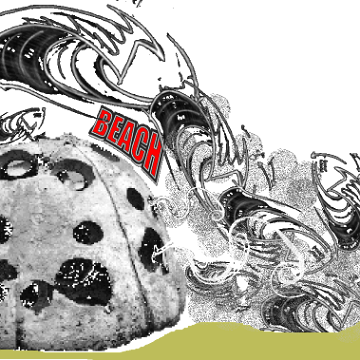 reefbeachlogo reefbeachlogo