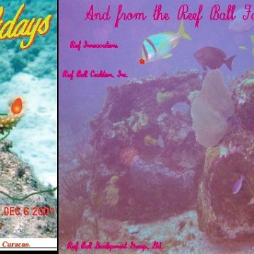 happyholidayfromreefball