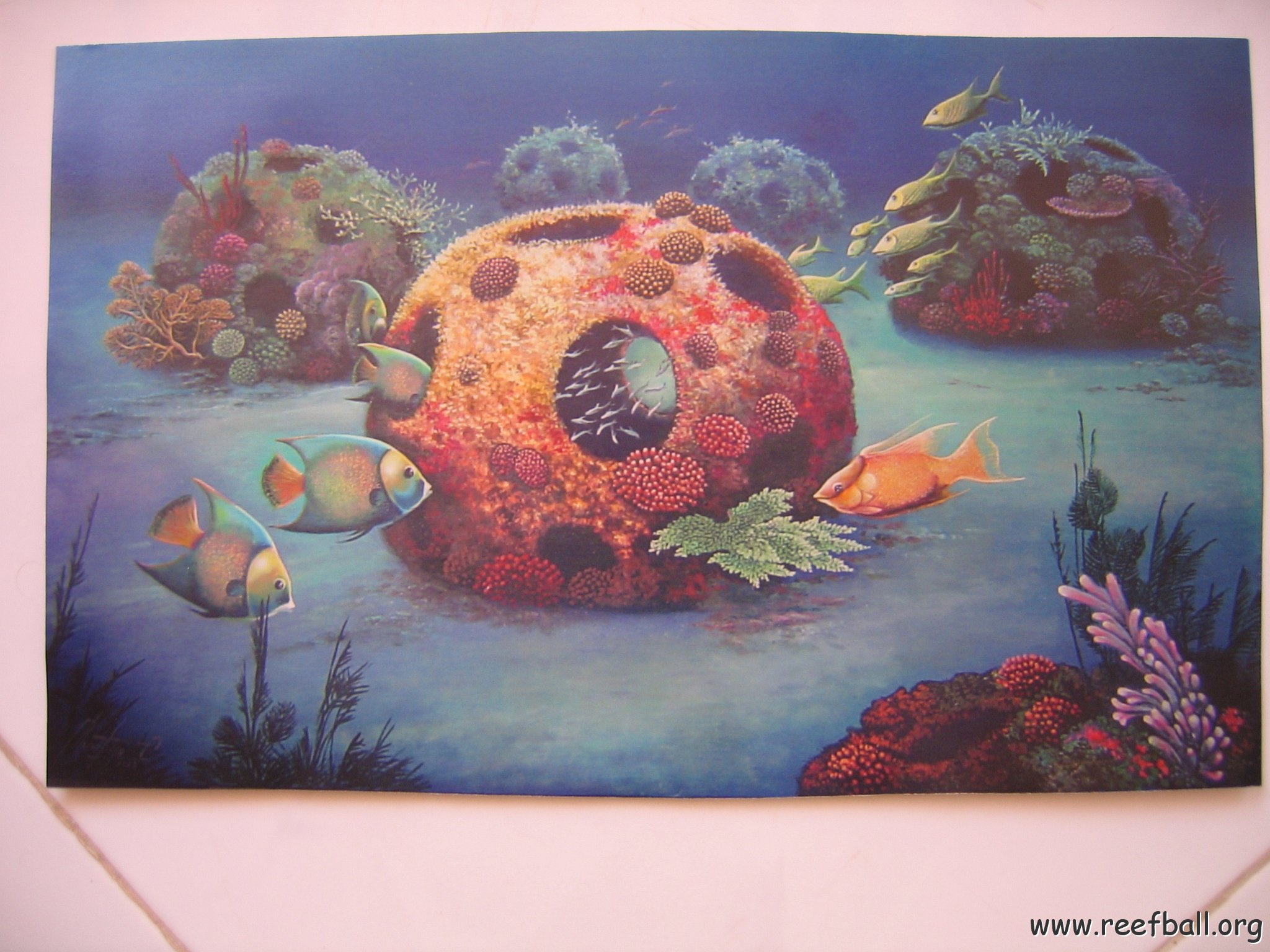 REEFBALLMEXICOARTWORK 003