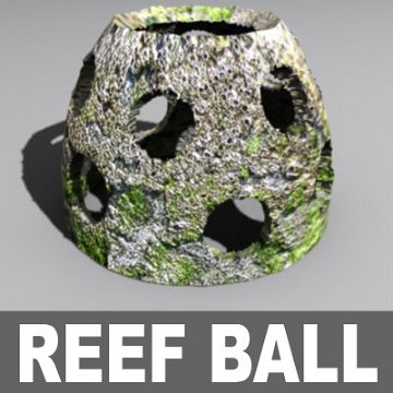 reefball02.jpgaf3b4fe2-3dee-44ab-a38d-ec904957b42bLarge