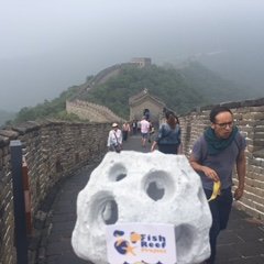 ReefBallonGreatWall