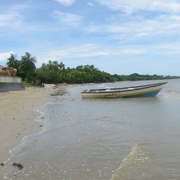 IMG_0337 IMG_0337