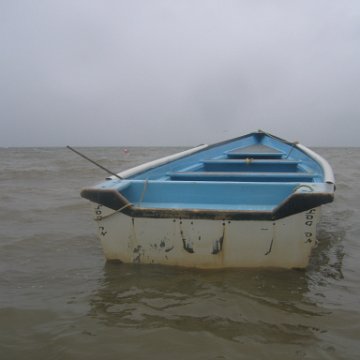 IMG_9325 IMG_9325