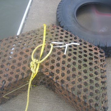 IMG_9347 IMG_9347