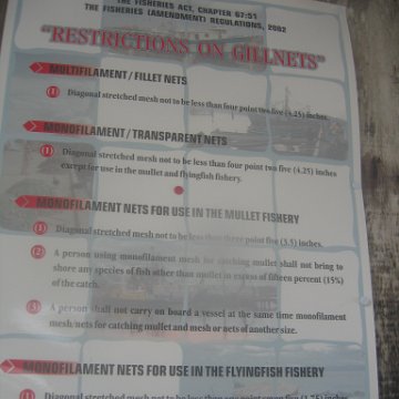 IMG_9420 IMG_9420