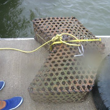 IMG_0298 IMG_0298
