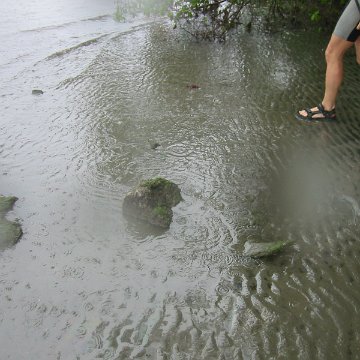 IMG_0304 IMG_0304