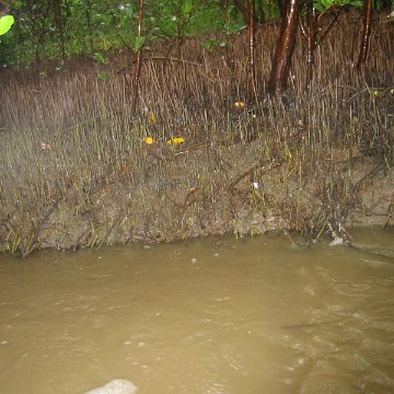IMG_0309 IMG_0309