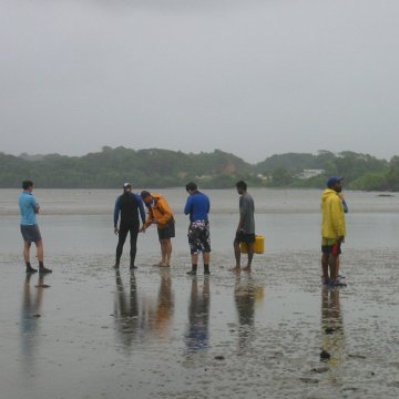 IMG_0310 IMG_0310