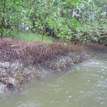 IMG_0312 IMG_0312