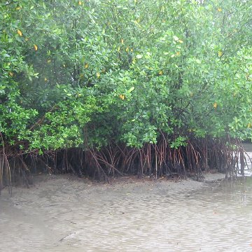 IMG_0314 IMG_0314