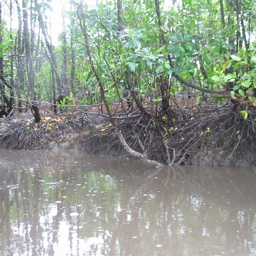 IMG_0315 IMG_0315