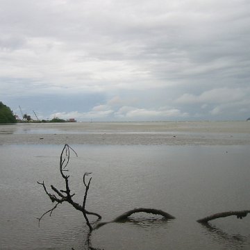 IMG_0318 IMG_0318