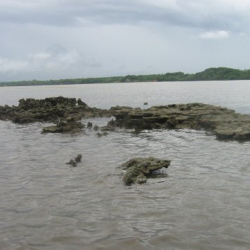 IMG_0319 IMG_0319