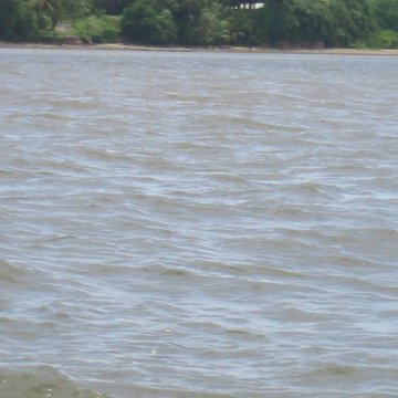 IMG_0326 IMG_0326