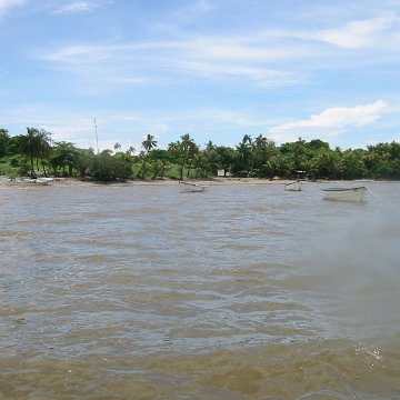 IMG_0331 IMG_0331