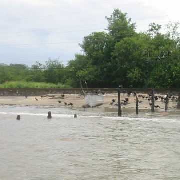 IMG_0335 IMG_0335