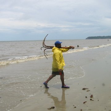 IMG_0336 IMG_0336