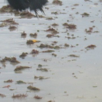 IMG_0339 IMG_0339