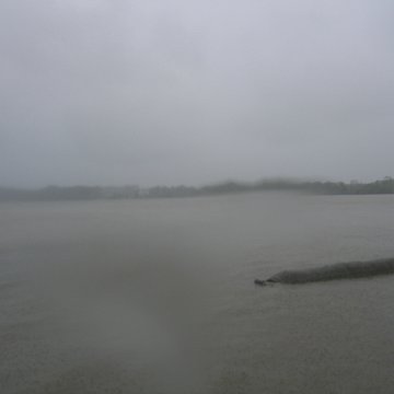 IMG_9350 IMG_9350