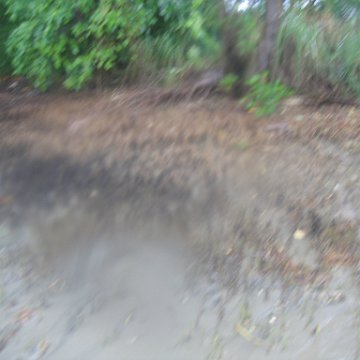 IMG_9352 IMG_9352
