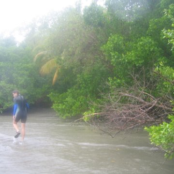 IMG_9355 IMG_9355