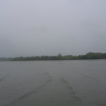 IMG_9356 IMG_9356