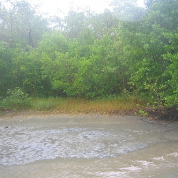 IMG_9360 IMG_9360