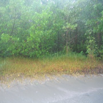 IMG_9362 IMG_9362