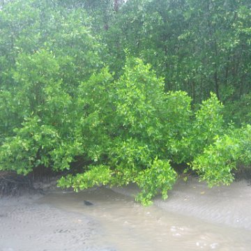IMG_9363 IMG_9363