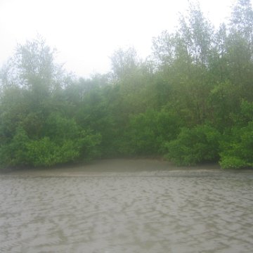 IMG_9364 IMG_9364