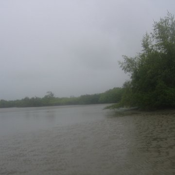 IMG_9365 IMG_9365