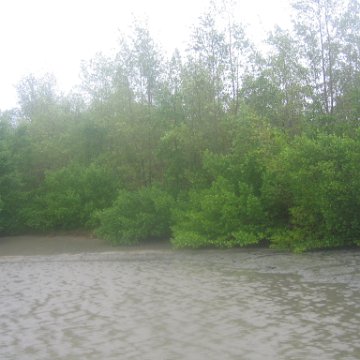 IMG_9366 IMG_9366