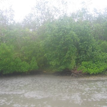 IMG_9367 IMG_9367