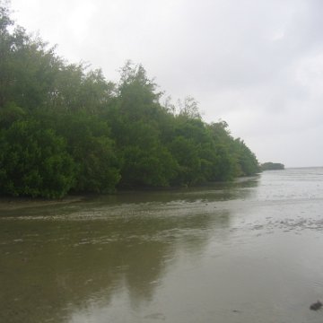 IMG_9371 IMG_9371