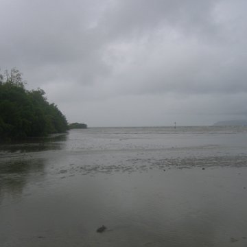 IMG_9372 IMG_9372