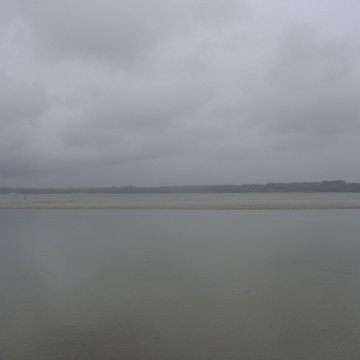 IMG_9374 IMG_9374