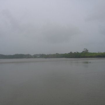 IMG_9375 IMG_9375