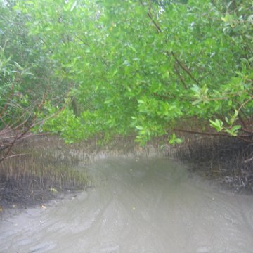 IMG_9376 IMG_9376