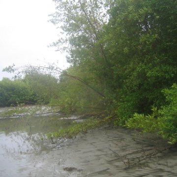 IMG_9379 IMG_9379