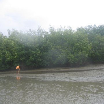 IMG_9380 IMG_9380