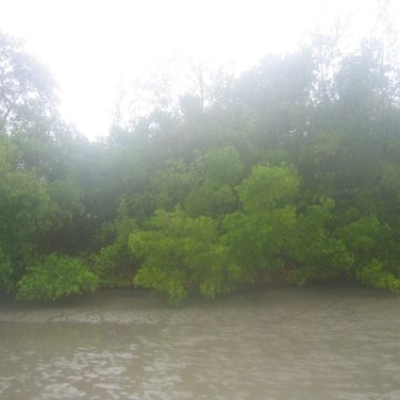 IMG_9381 IMG_9381