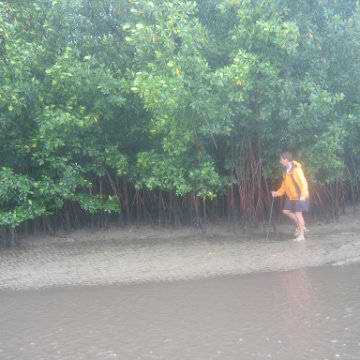IMG_9383 IMG_9383