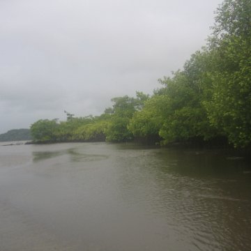 IMG_9384 IMG_9384