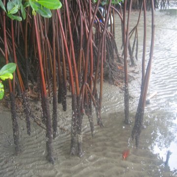 IMG_9386 IMG_9386