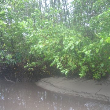IMG_9388 IMG_9388