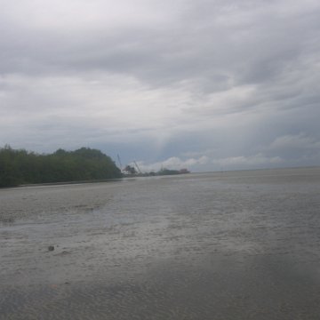 IMG_9390 IMG_9390
