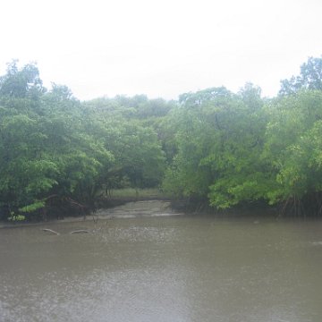 IMG_9393 IMG_9393