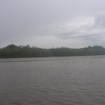 IMG_9399 IMG_9399
